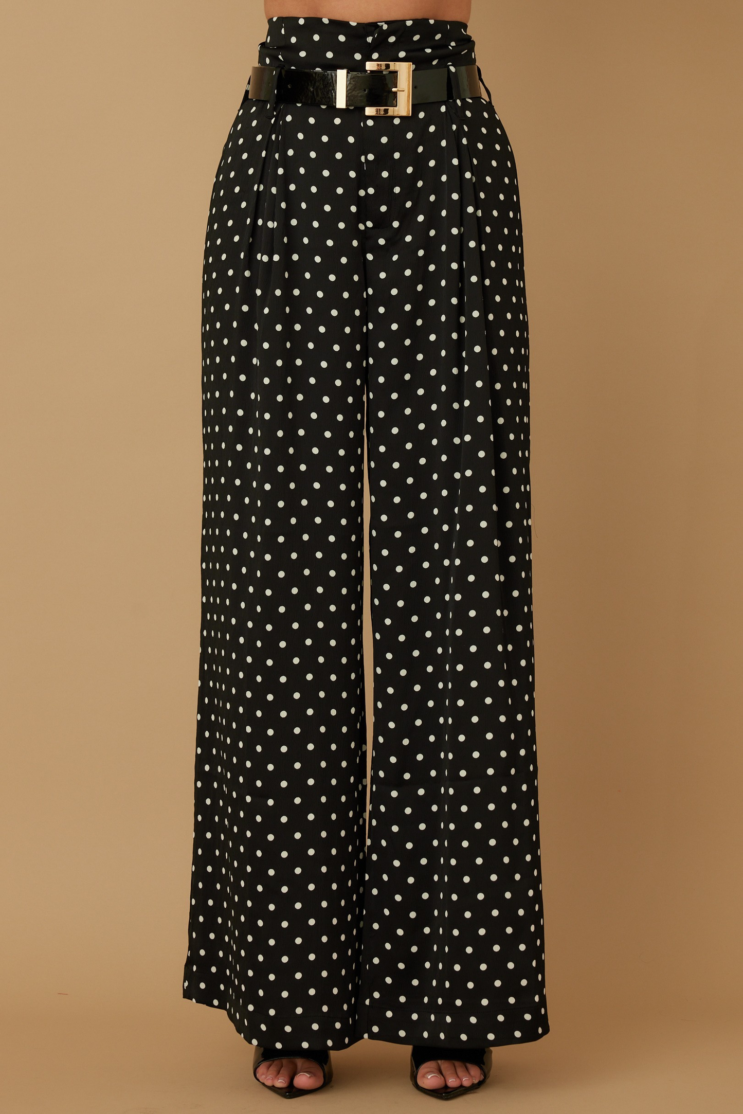 High Waist Woven Polka Dot Print Pants