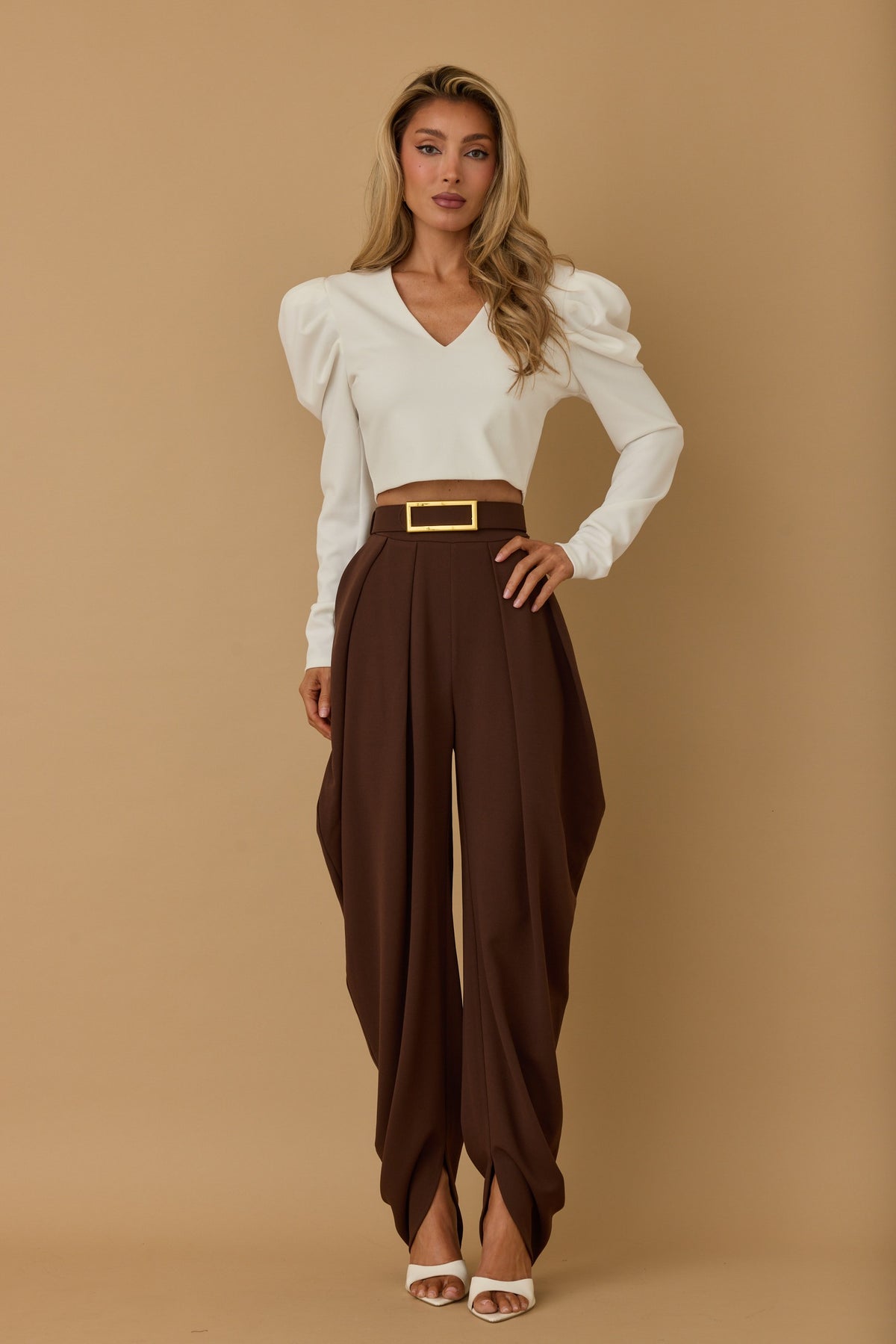 Elegant Dress Pants