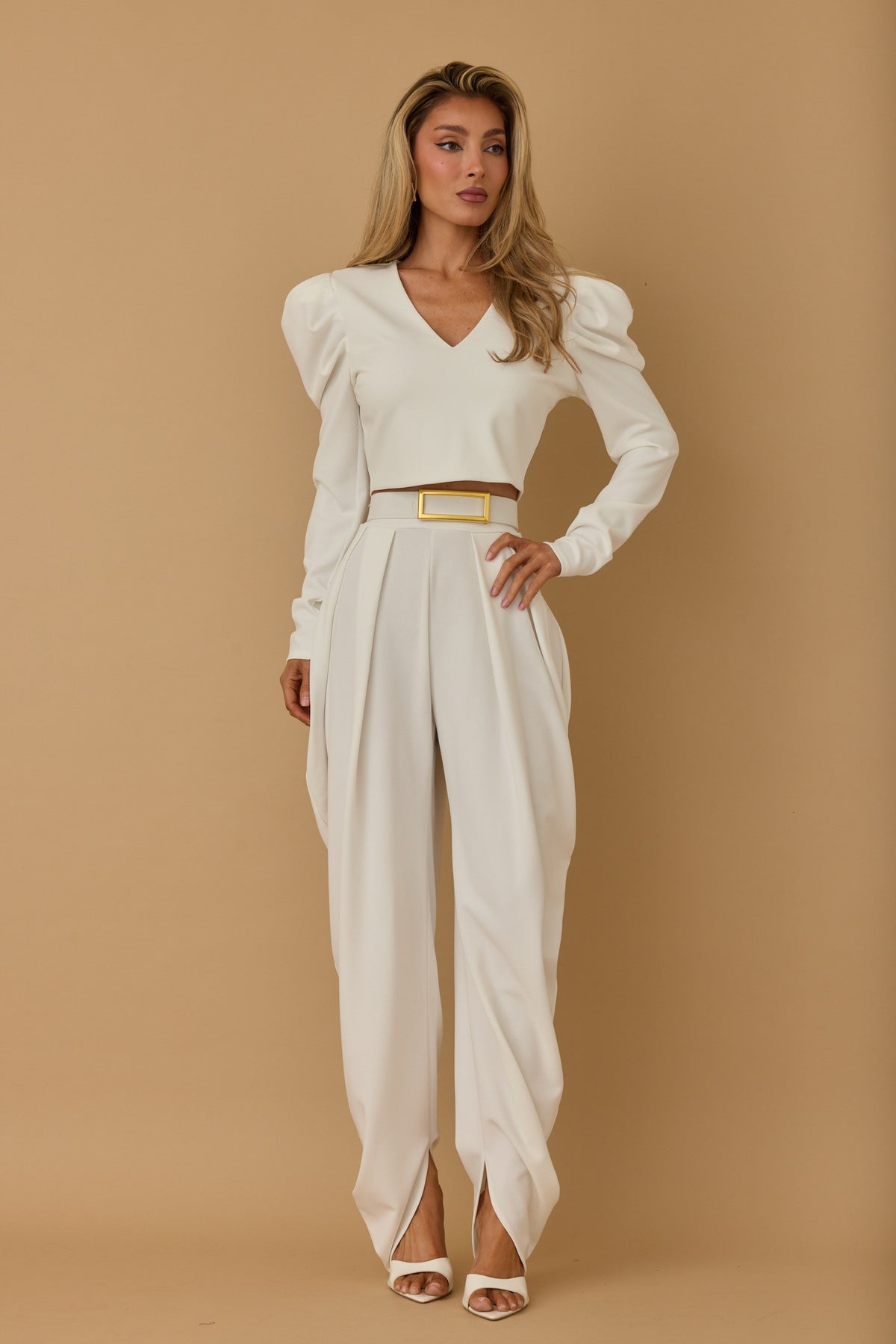 Elegant Dress Pants