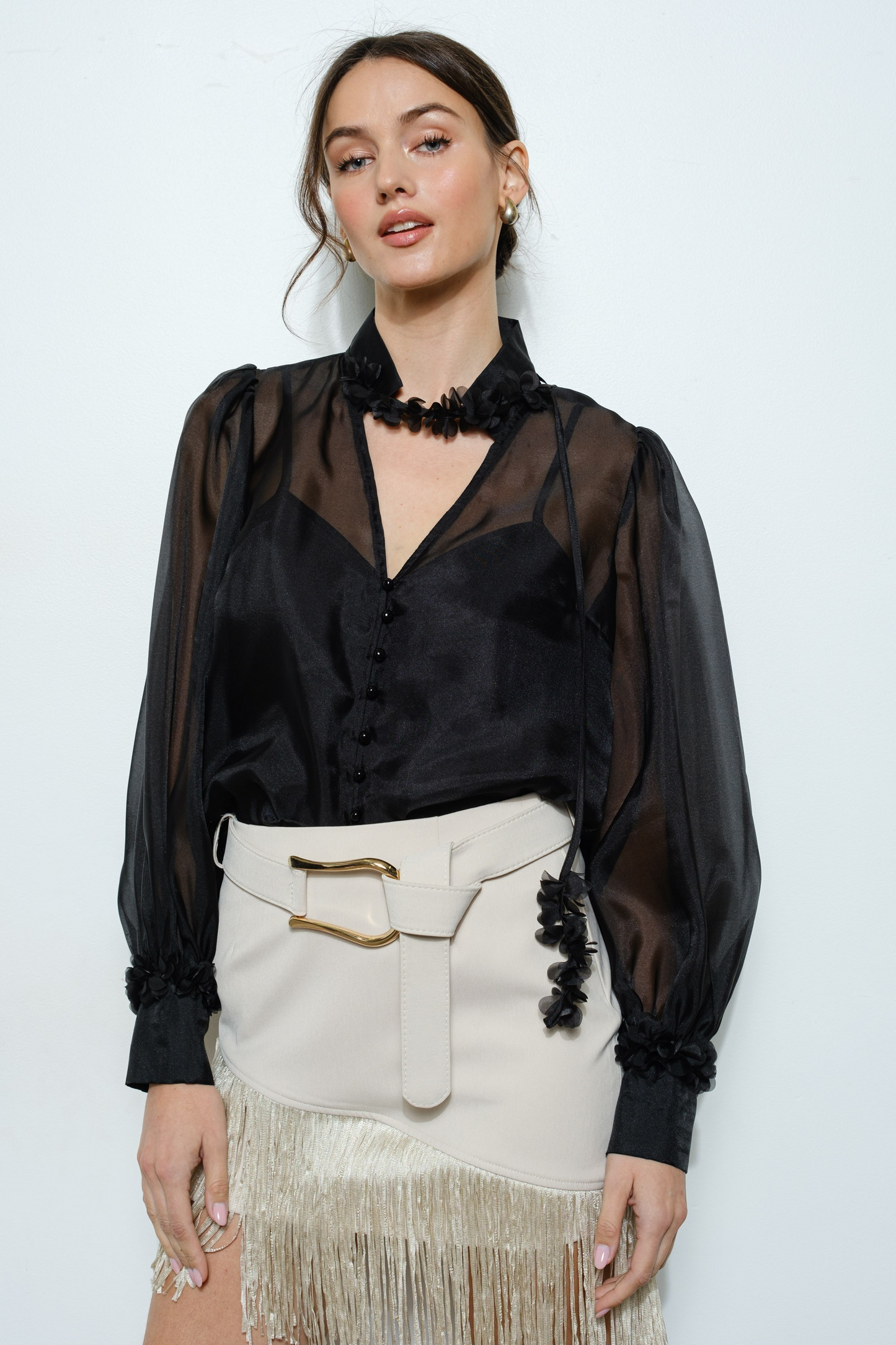 Long Puff Sleeve Sheer Floral Tie-neck Blouse